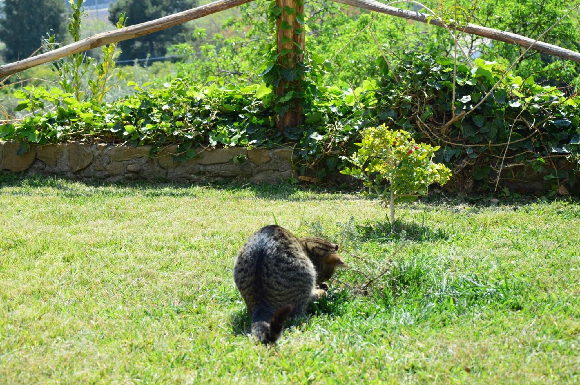Antico Borgo Etneo Country Hotel Calatabiano Exterior foto